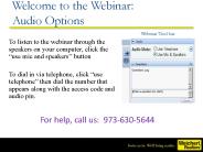 Welcome to the Webinar: Audio Options