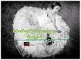 Wedding Photographers in Berkshire PowerPoint PPT Presentation