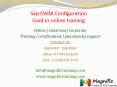 Sap EWM Configuration Guid in online training PowerPoint PPT Presentation