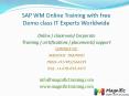 SAP WM Online Training with free Demo class IT Experts Worldwide PowerPoint PPT Presentation