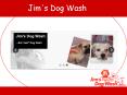 Jim's Dog Wash - Overview PowerPoint PPT Presentation