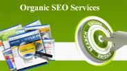 Organic SEO Services