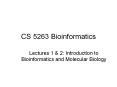 CS 5263 Bioinformatics PowerPoint PPT Presentation