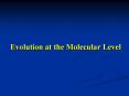 Evolution at the Molecular Level PowerPoint PPT Presentation