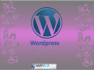 wordpress web development