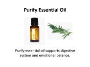 doTERRA Purify Essential Oil