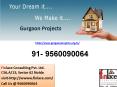 Gurgaon Projects
