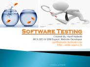 software Testing