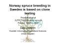Norway spruce breeding in Sweden is based on clone testing PowerPoint PPT Presentation