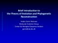 Brief Introduction to the Theory of Evolution and Phylogenetic Reconstruction PowerPoint PPT Presentation