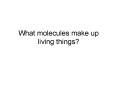 What molecules make up living things? PowerPoint PPT Presentation