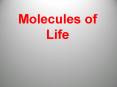 Molecules of Life PowerPoint PPT Presentation
