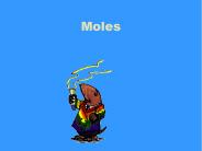 Moles