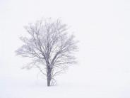 Module 4 Reading and Vocabulary Teaching Explanatory Notes