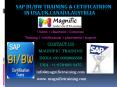 SAP BI/BW TRAINING & CETIFICATRION IN USA,UK,CANADA,AUSTRLIA PowerPoint PPT Presentation