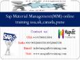 Sap Material Management(MM) online training usa,uk,canada,pune PowerPoint PPT Presentation