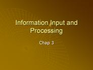 Information Input and Processing
