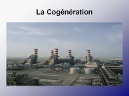 La Cog