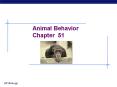 Animal Behavior PowerPoint PPT Presentation