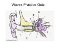 Waves Practice Quiz PowerPoint PPT Presentation