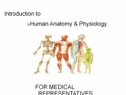 Human organ system quick view