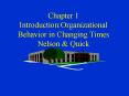 Chapter 1 Introduction:Organizational Behavior in Changing Times Nelson PowerPoint PPT Presentation