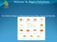 The Hidden Magic In Dehydrated Onion Skin- Uses And Benefits PowerPoint PPT Presentation