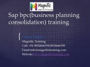 sap bpc(business planning and consolidation) training