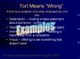 Tort Means  PowerPoint PPT Presentation