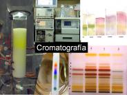 Cromatograf