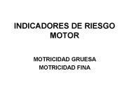 INDICADORES DE RIESGO MOTOR