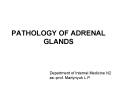 PATHOLOGY OF ADRENAL GLANDS PowerPoint PPT Presentation