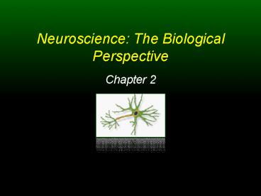 Neuroscience: The Biological Perspective