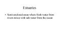 Estuaries PowerPoint PPT Presentation