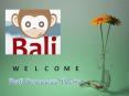 Discover Beautiful Bali in a Different Way with Bali Success Tours PowerPoint PPT Presentation
