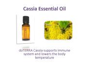 Get Cassia Essential Oil for Relaxing