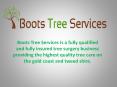 Tree Removal Services Gold Coast PowerPoint PPT Presentation