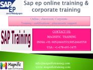 sap ep online training in usa