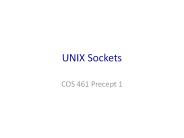 UNIX Sockets