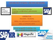 sap uk payroll online training india