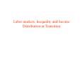 Labor markets, Inequality and Income Distribution in Transition PowerPoint PPT Presentation