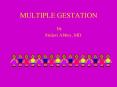 MULTIPLE GESTATION PowerPoint PPT Presentation