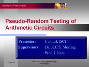 Pseudo-Random Testing of Arithmetic Circuits