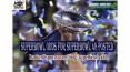 bankrollsports-superbowl odds PowerPoint PPT Presentation
