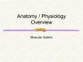 Anatomy / Physiology Overview PowerPoint PPT Presentation