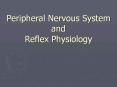 Peripheral Nervous System and Reflex Physiology PowerPoint PPT Presentation