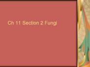 Ch 11 Section 2 Fungi