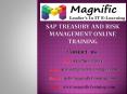 sap treasury and risk management(TRM)online training PowerPoint PPT Presentation