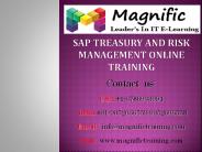 sap treasury and risk management(TRM)online training
