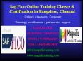Sap Fico Online Training Classes & Certification In Bangalore, Chennai PowerPoint PPT Presentation